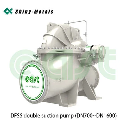 High-Efficiency East Dfss Double Suction Industrial Booster Pump
